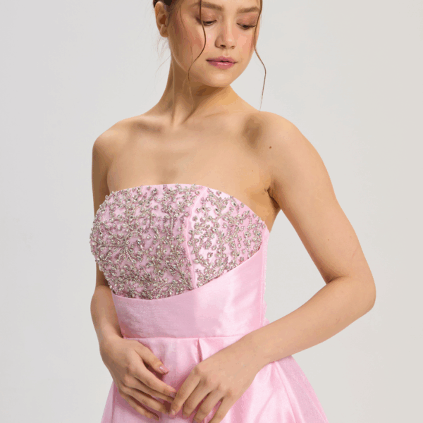 ANISIA DRESS